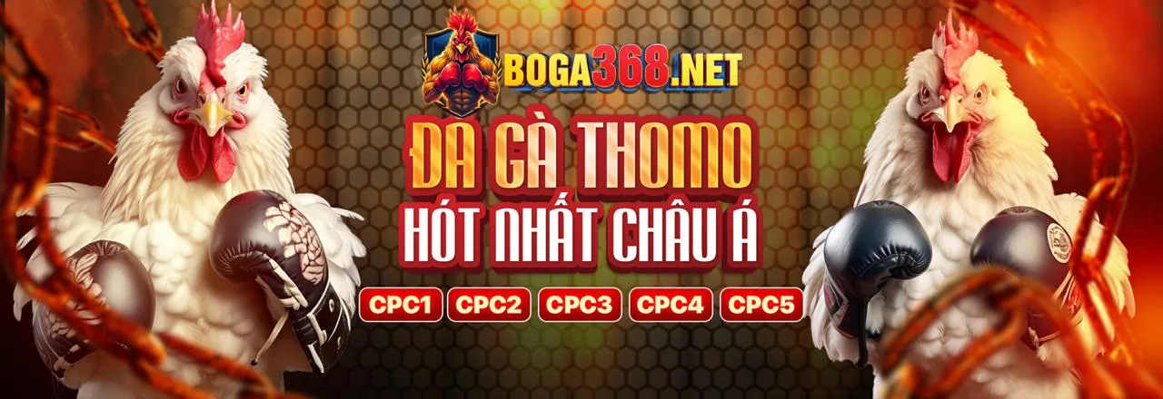 Bắt tay hợp tác thành công với 6ff nhà cái